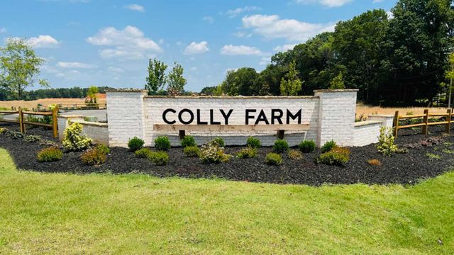 Colly Farm image