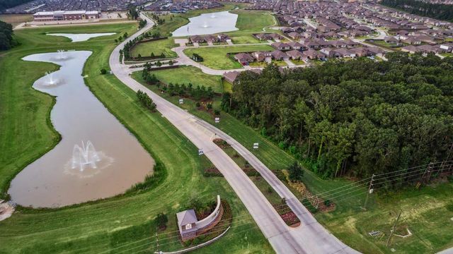 Harrington Trails at The Canopies by D.R. Horton in New Caney - photo