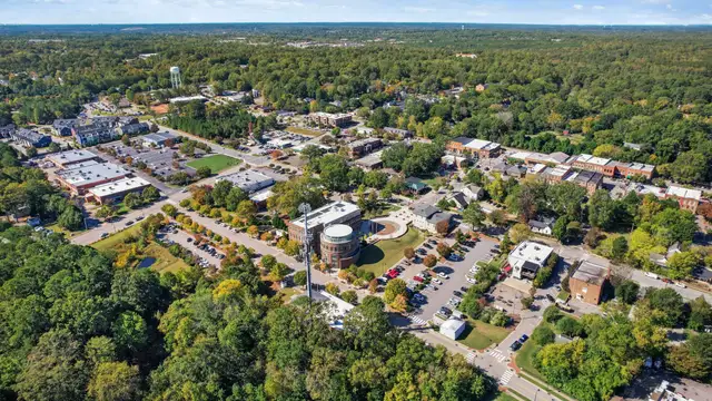 Magnolia image
