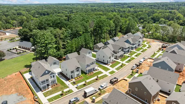 Arbor Village image