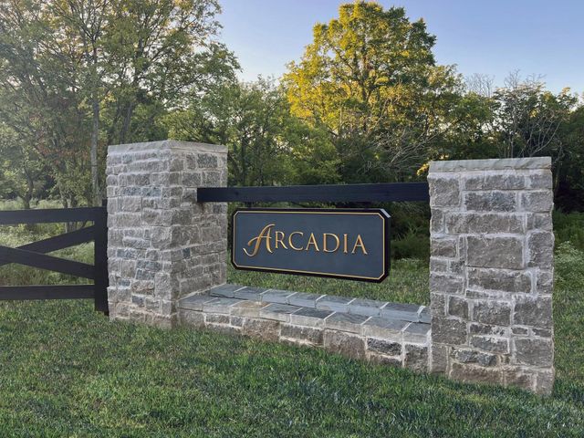 Arcadia image