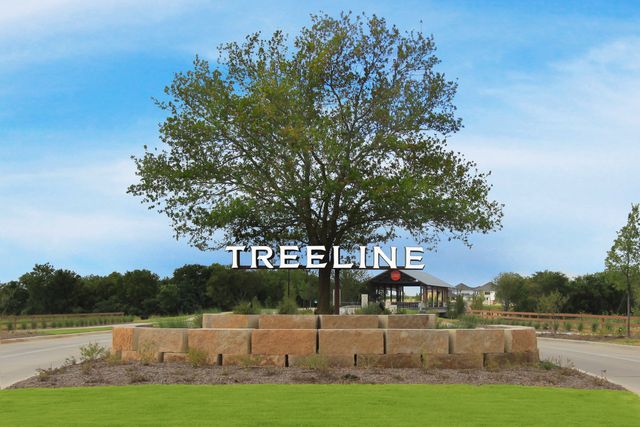 Treeline image