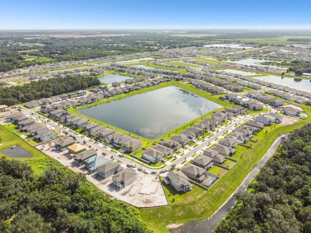 Berry Bay by M/I Homes in Wimauma - photo