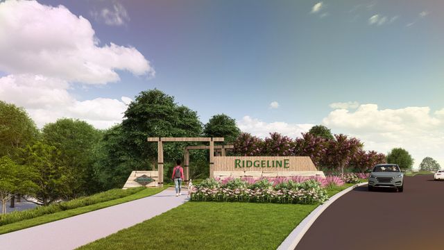 Ridgeline image