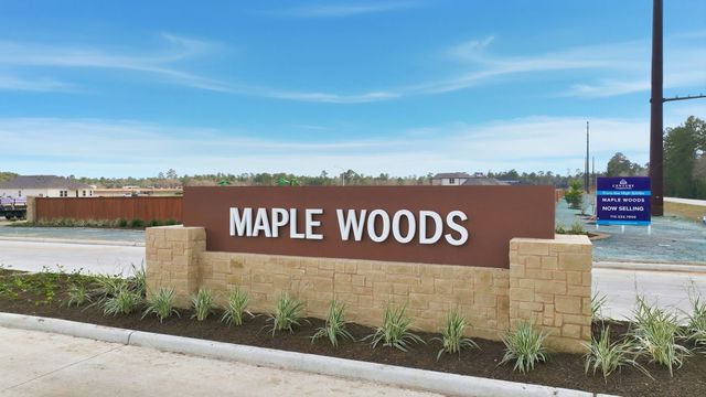 Maple Woods image
