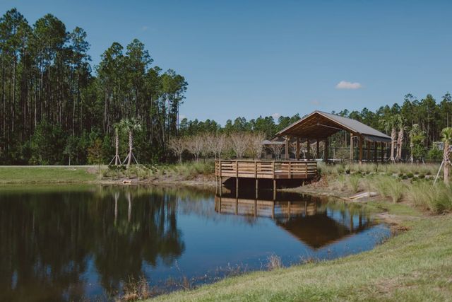 Forest Park at Wildlight by Riverside Homes in Wildlight - photo