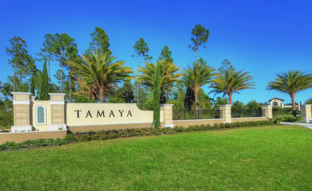 Tamaya image