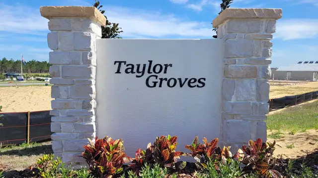 Taylor Groves image