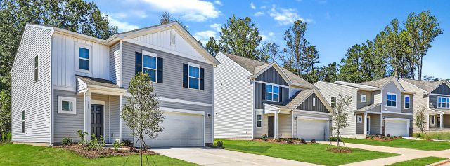 Glen Forest: Dream image