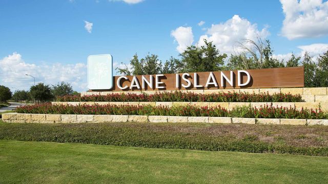 Cane Island 60' image