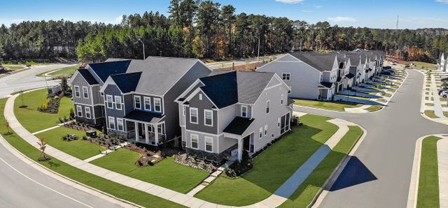 Carolina Springs image