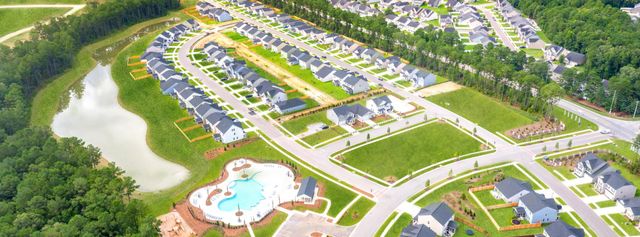 Cypress Preserve image