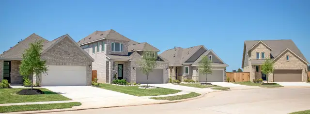 Magnolia Forest: Avante Collection image