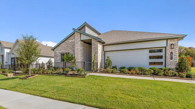 TEXAS MOCKINGBIRD image