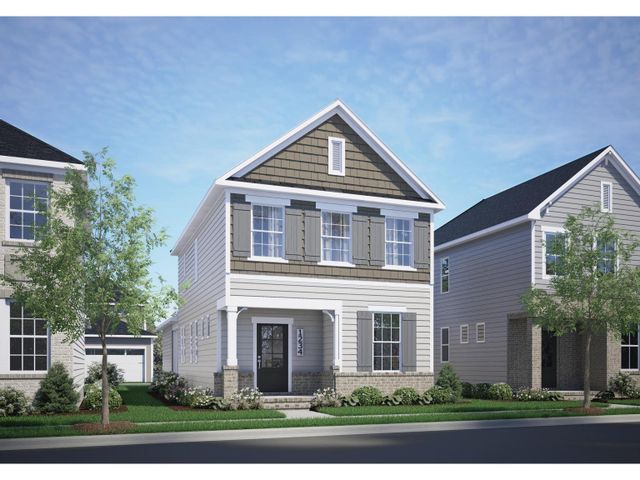 The Alexander D image