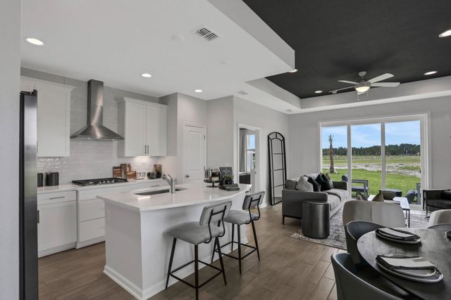 Seaire by Dream Finders Homes in Parrish - photo