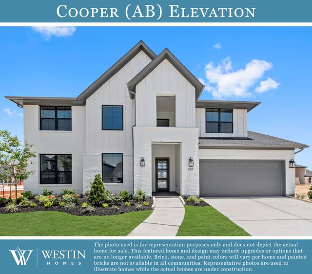 The Cooper image