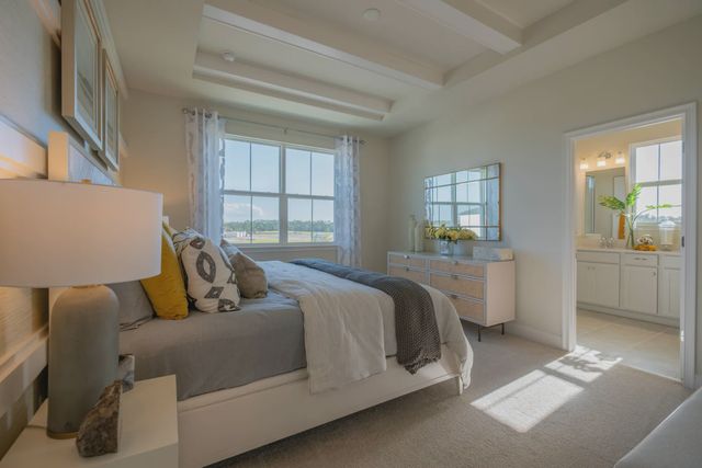 Aster by Jones Homes USA - image