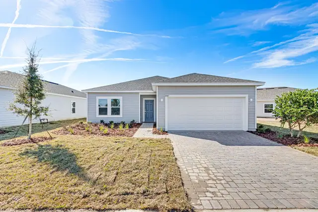 Buttonwood by Taylor Morrison - image