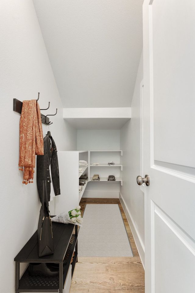 Bella - Modern by Cadence Homes - image