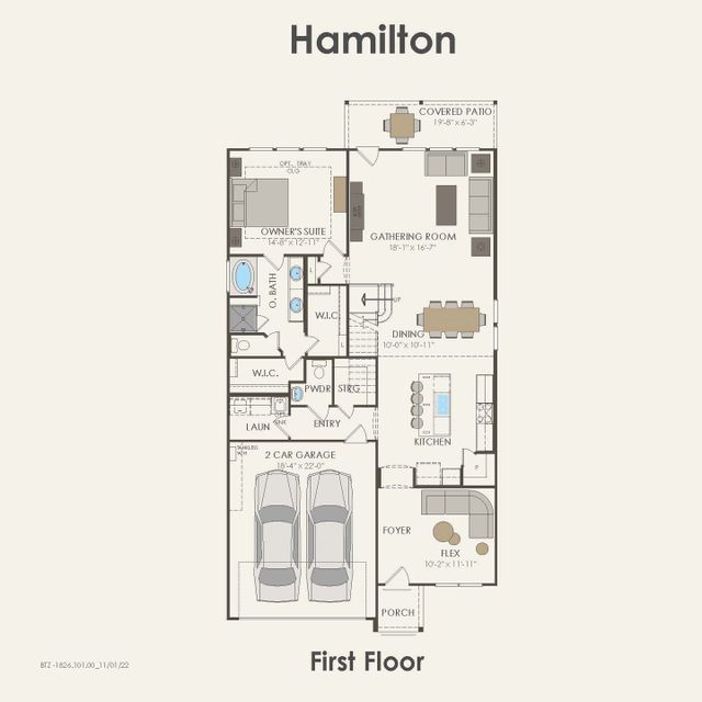 Hamilton image