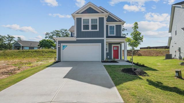 Freesia by DRB Homes - image