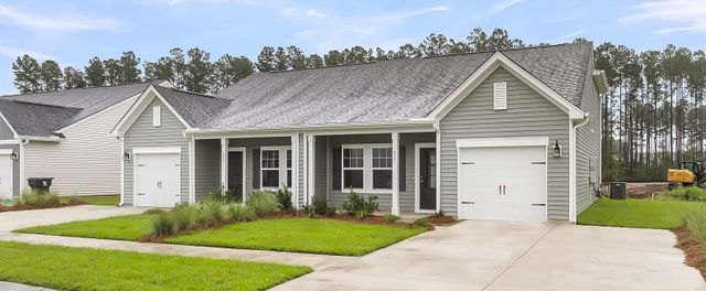 Palmetto image