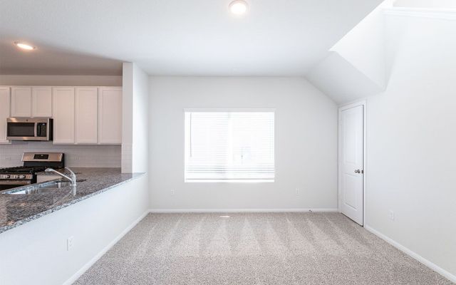 Sapphire by CastleRock Communities - image