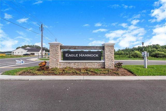 Eagle Hammock by Highland Homes of Florida in Eagle Lake - photo