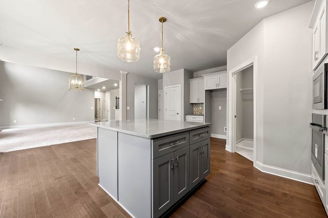 Eliott - Homesites by Dream Finders Homes - image