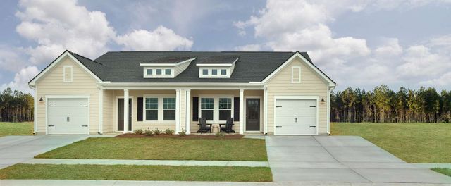 Palmetto image
