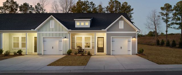 Palmetto image
