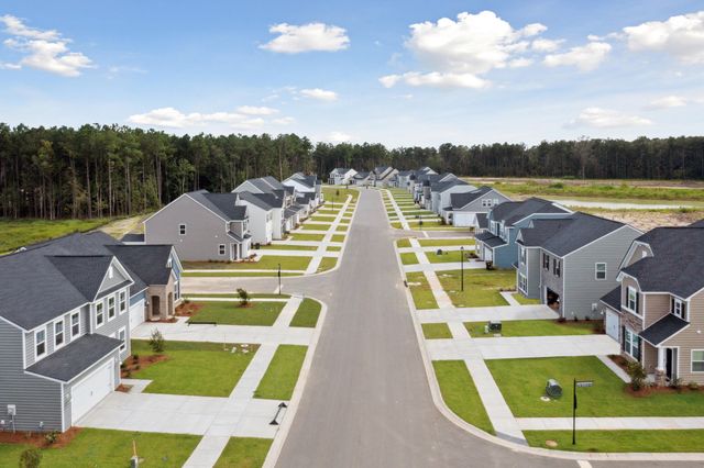 Cypress Preserve: Juniper Collection image