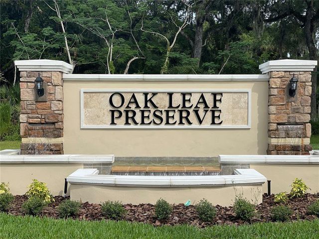 Oak Leaf Preserve by D.R. Horton in New Smyrna Beach - photo