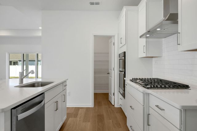 Edison - 50' Homesites by Dream Finders Homes - image