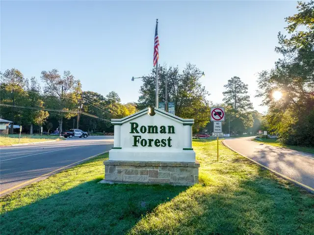 Roman Forest image