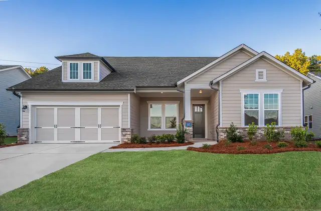 The Pendula by David Weekley Homes - image