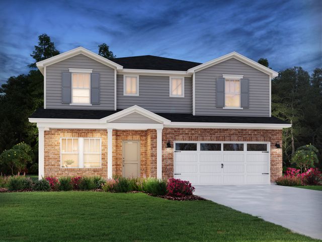 Johnson Basement image