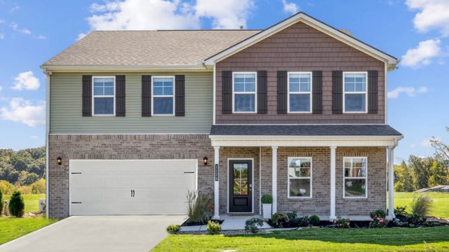 Richland-Finished Basement by D.R. Horton - image