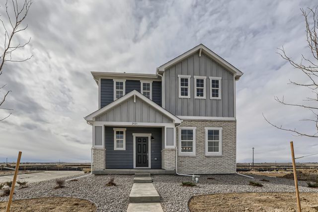 Remington - 40' Homesites by Dream Finders Homes - photo