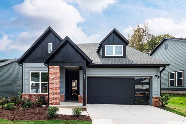 The Carroway by David Weekley Homes - image