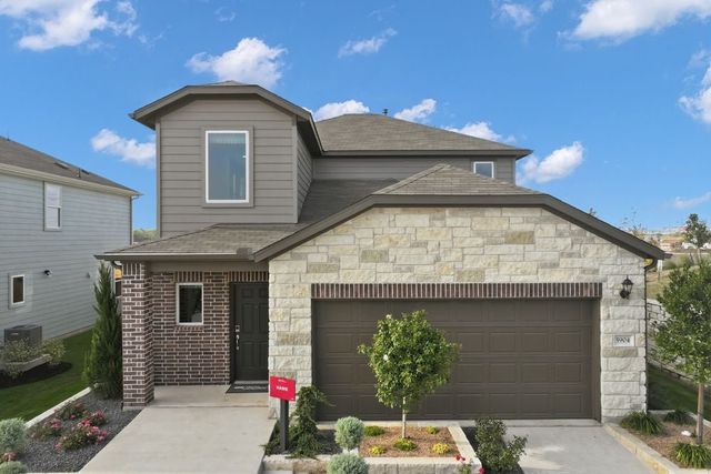 Hawk by Taylor Morrison - image